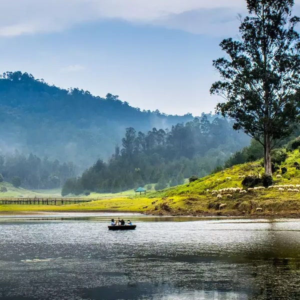 KODAIKANAL SPECIAL TOUR.jpg